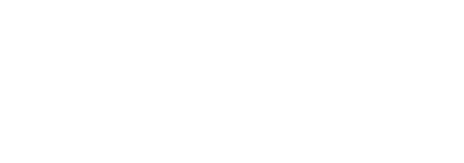 Nike partner logo